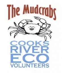 Mudcrabs logo designed by Michele Moss in 2005